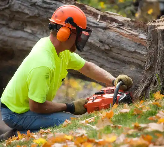 tree services Bartonsville